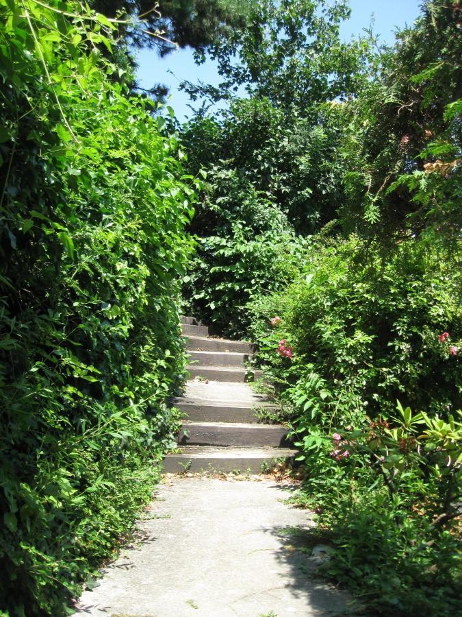 Danube View House With Garden Appartement Wenen Buitenkant foto
